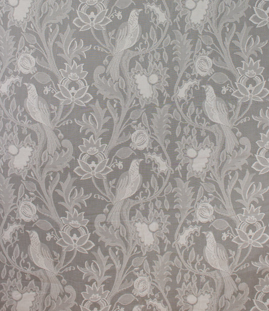 Humming Bird (Sample)