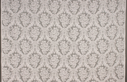 Damask Rose
