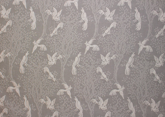 Birds in Trees