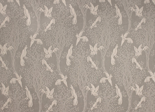 Birds in Trees