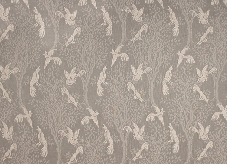 Birds in Trees